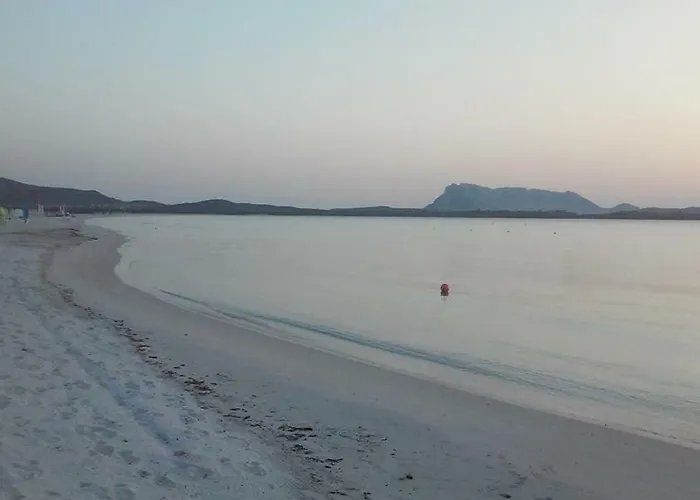Nonna Antonietta Casa vacanze San Teodoro (Sardinia)